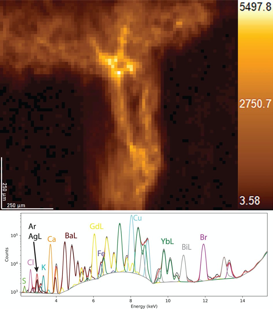 XRF_image XRF_Image